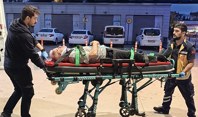 Ceviz ağacından düşen adam ağır yaralandı