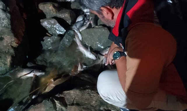 Ceyhan Nehri'ndeki kirlilikle ilgili numune alındı