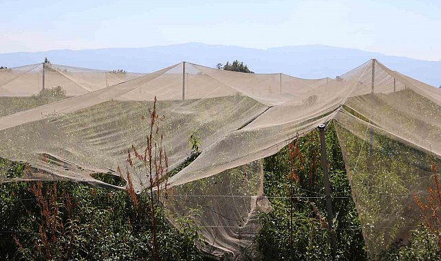 Çiftçilerin doğal sigortası file sistemi oldu