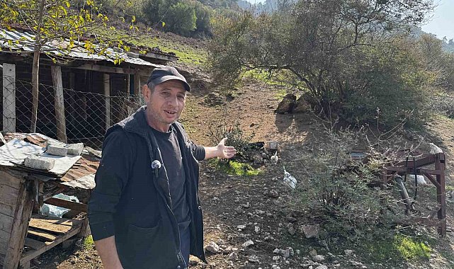 CİMER'e yapılan 'İnek ve tavuklar serbest dolaşıyor, salgın hastalık riski var' şikayeti bölge sakinlerini şaşkına uğrattı