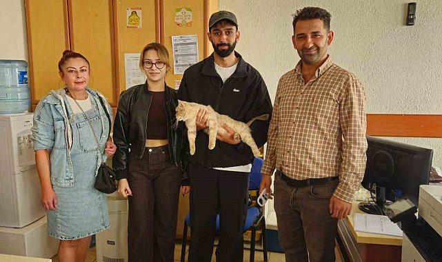 Çip sayesinde kayıp kedi kısa sürede sahibine kavuştu
