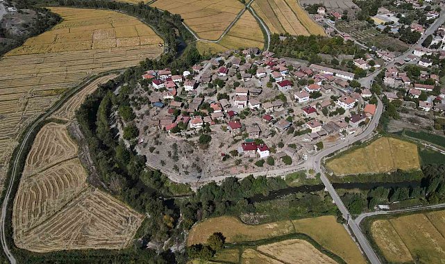 Coğrafi işaretli Tosya pirincinde susuzluk sebebiyle istenilen rekolteye ulaşılamadı