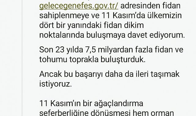 Cumhurbaşkanı Erdoğan'dan 11 Kasım Milli Ağaçlandırma Günü mesajı