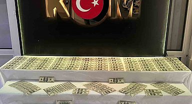 Denizli'de 35 bin 100 dolar değerinde sahte banknot ele geçirildi
