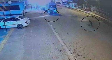 Devrilerek sürüklenen motosiklet, park halindeki minibüsün altına girdi: O anlar kamerada