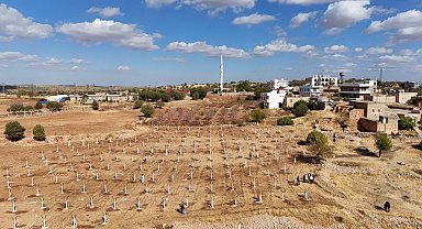 Dezavantajlı tarım arazileri modern bağcılık projesiyle hayat buluyor
