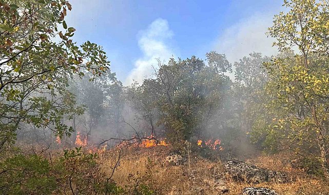 Diyarbakır'da örtü yangını 7 saat sonra helikopter desteğiyle söndürüldü
