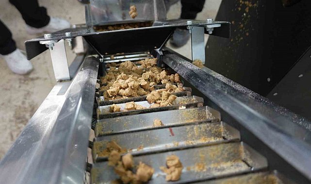 Düzce'de sokak hayvanları için mama üretim tesisi kuruldu