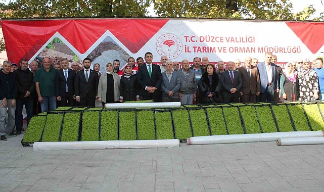Düzce'de yüzde 75 destekli 232 bin 500 adet marul fidesi dağıtıldı