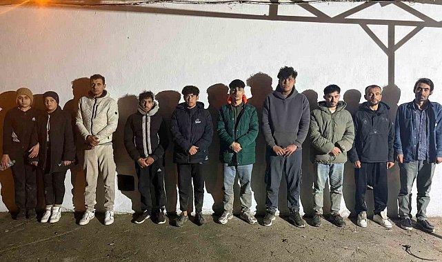 Edirne'de 17 düzensiz göçmen yakalandı