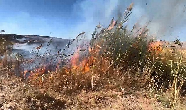Elazığ'da otluk alanda yangın