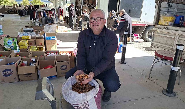 Elma kurusu, üreticisini sevindirdi