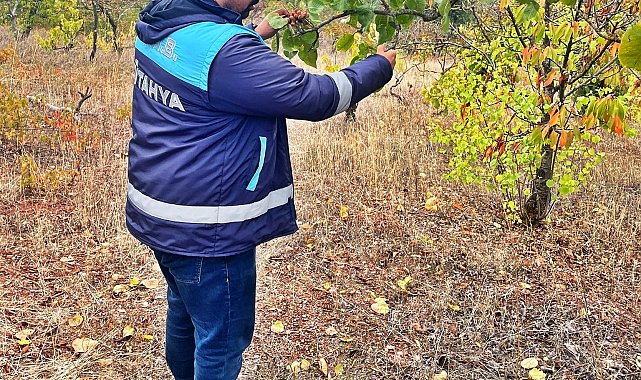 Emet'te uydu takibi yapılan arazilerde fiziki kontroller yapıldı