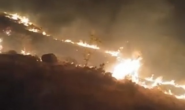 Emirgazi'de mera yangını