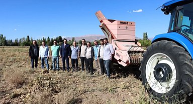 Erzincan'da kuru fasulye hasadı başladı