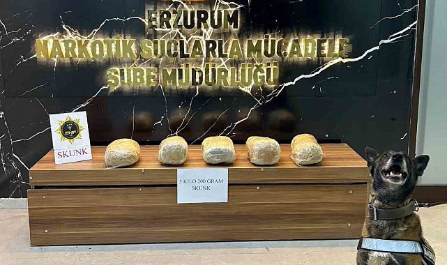 Erzurum'da 5 kilo 200 gram skunk maddesi ele geçirildi