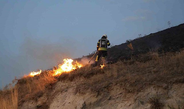 Erzurum'da havai fişek yangına neden oldu