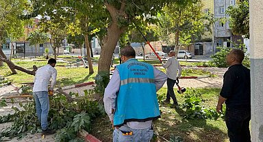 Eyyübiye'deki parklarda bakım ve yenileme çalışması