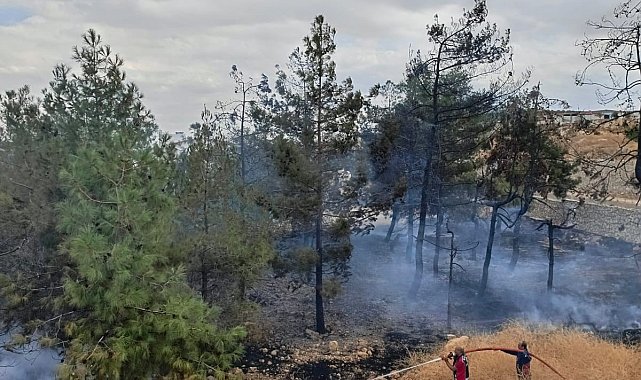 Fabrikanın ağaçlık alanında çıkan yangın korkuttu