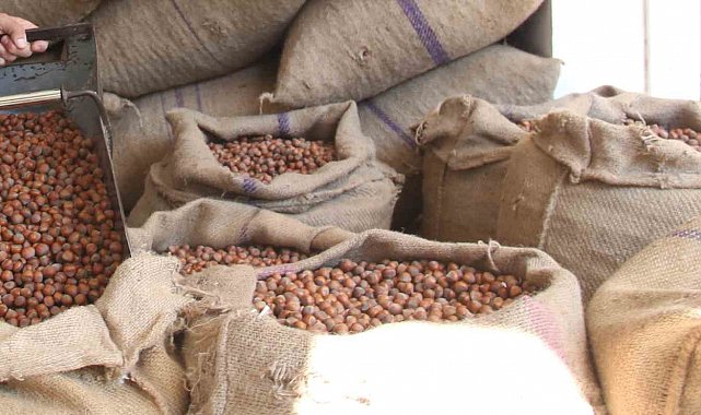 Fındıkta üreticinin 400 lira hedefi başka bahara kaldı