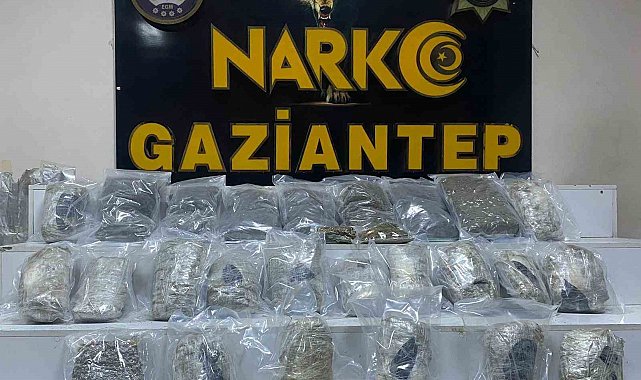 Gaziantep'te 13 kilo skunk ele geçirildi