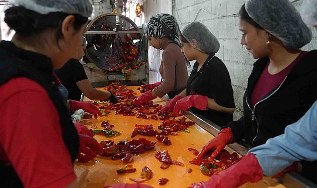 Gaziantep'te kadınların 'acı' mesaisi