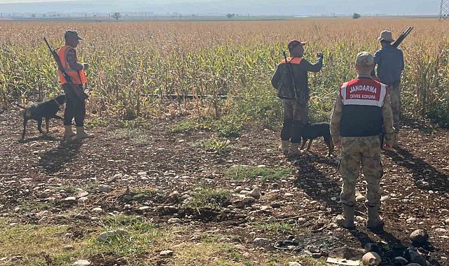 Gaziantep'te tarım arazilerine zarar veren yaban domuzları için sürek avı yapıldı