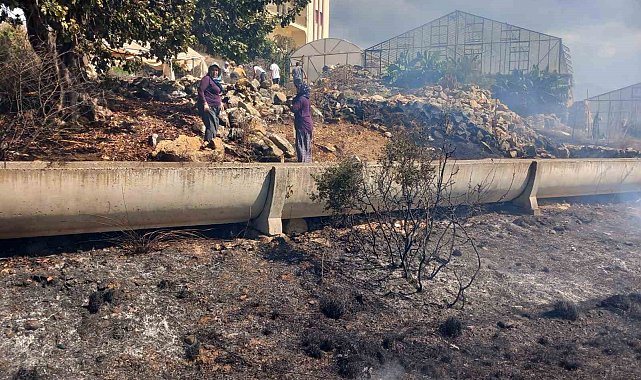Gazipaşa'da zirai alanda yangın büyümeden söndürüldü