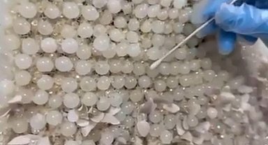 Gelinliğin üzerine boncuk şeklinde işlenmiş 25 kilo uyuşturucu ele geçirildi