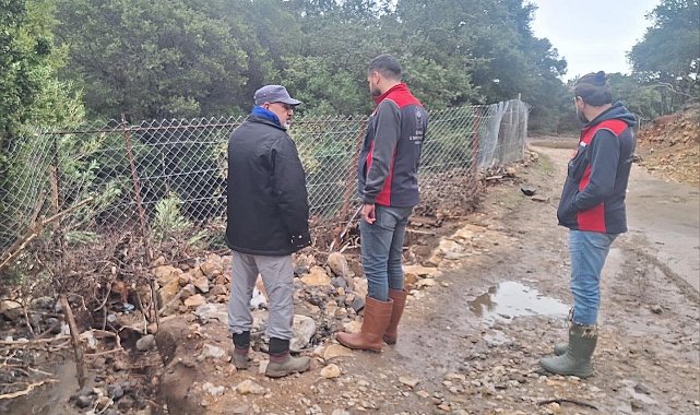 Gökçeada'da zarar gören ekili ve dikili alanlarda hasar tespit çalışmaları devam ediyor