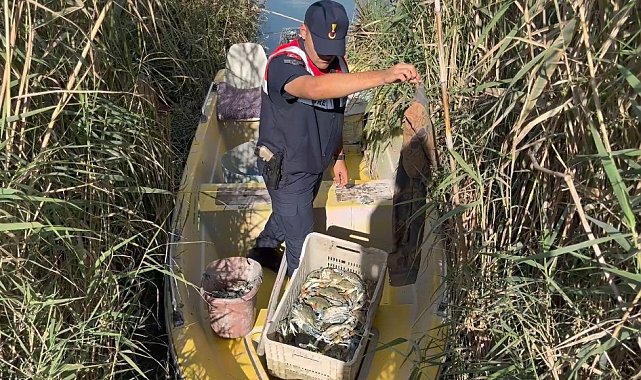 Göksu Deltası'nda mavi yengeç avcıları yakalandı