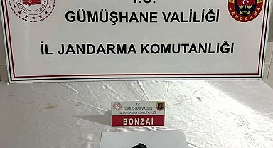 Gümüşhane'de jandarmadan uyuşturucu operasyonu
