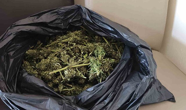 Güvercin kümesinde uyuşturucu ele geçirildi