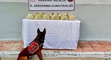 Hakkari'de 15 kilogram esrar ele geçirildi