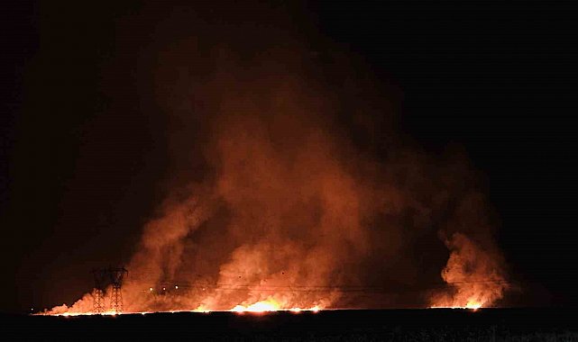 Hakkari'de kuş cenneti Nehil Sazlığı'ndaki yangın köyleri tehdit ediyor