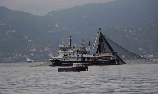 Hamside tehlike çanları çalıyor