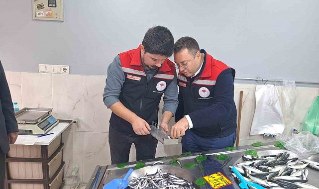 Hayrabolu'da balık satış yerleri denetlendi