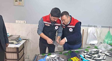 Hayrabolu'da balık satış yerleri denetlendi