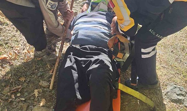 Hayvan otlatırken kayalıklardan düşen gazi kurtarıldı