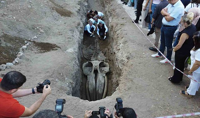 Heyecanlandıran keşif: '16 metrelik 'Balina'nın kafatası ve gövdesi tamamen ortaya çıktı