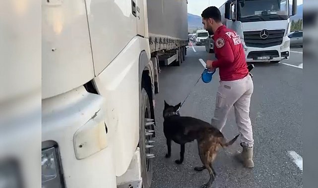 Iğdır'da kaçakçılık ve dolandırıcılık operasyonları: Çok sayıda kaçak ürün ele geçirildi, 4 şüpheli yakalandı