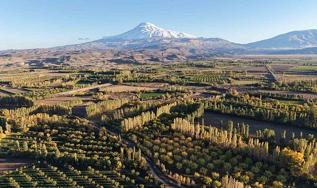 Iğdır'ın renk cümbüşüne dönüşen doğal cenneti İrem Bağları, havadan görüntülendi