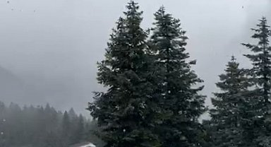 Ilgaz Dağı'nda kar yağışı etkili oluyor