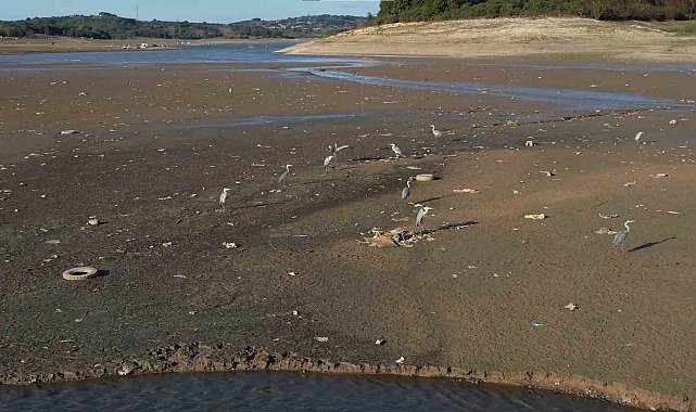 İstanbul'da barajlar alarm veriyor: Son 10 yılın en düşük su seviyesi
