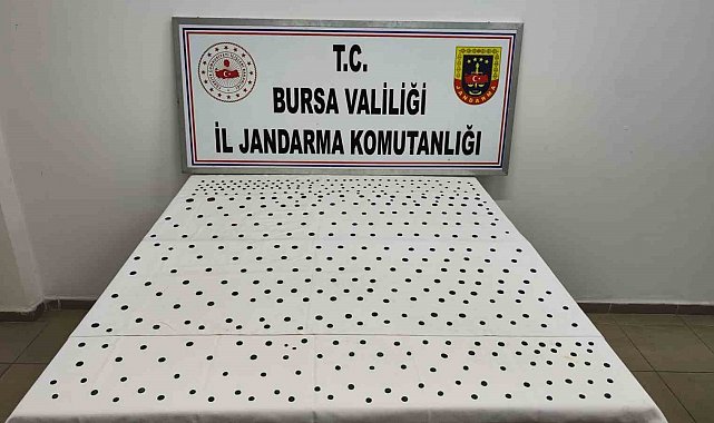 Jandarma'dan İznik'te tarihi operasyon