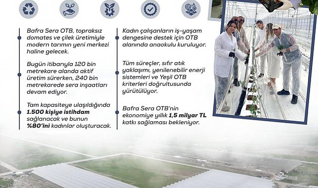 Kadın eliyle yeşeren tarım: Bafra Sera OTB, yıllık 1,5 milyar liralık katkı sunacak