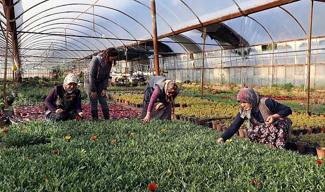 Kadın emeğiyle yerel kalkınma güçlendiriliyor
