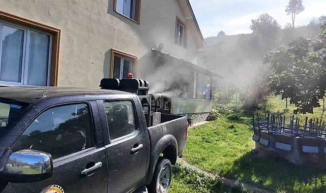 Kahverengi kokarca ile mücadele sürüyor