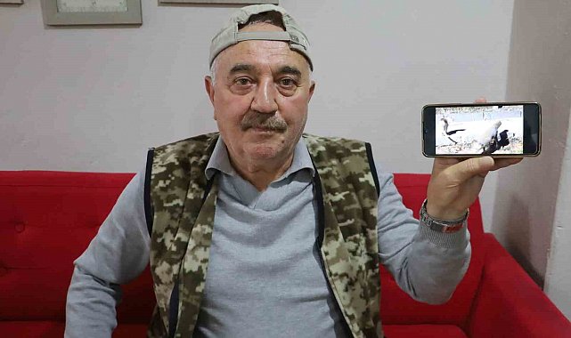 Kanka olan kedi ve tilki dikkat çekti