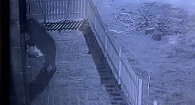 Kapıyı hırsız zorluyor sandı, gerçek güvenlik kamerası ile ortaya çıktı
